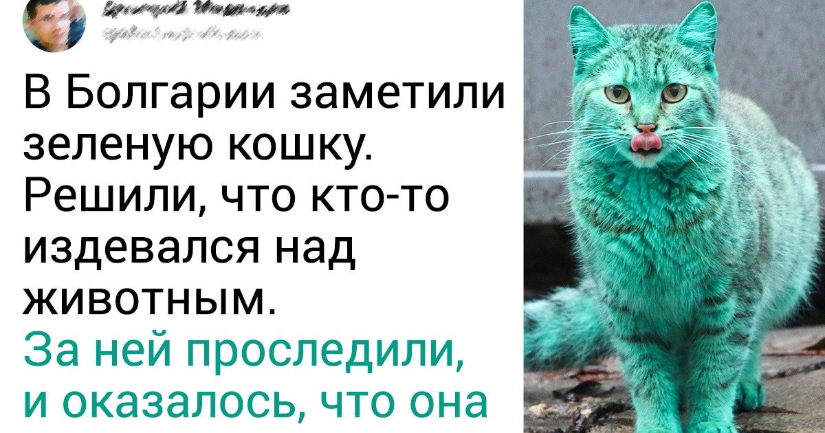 18 захватывающих историй, которые были запечатлены в одном случайном кадре 18 захватывающих историй, которые были запечатлены в одном случайном кадре