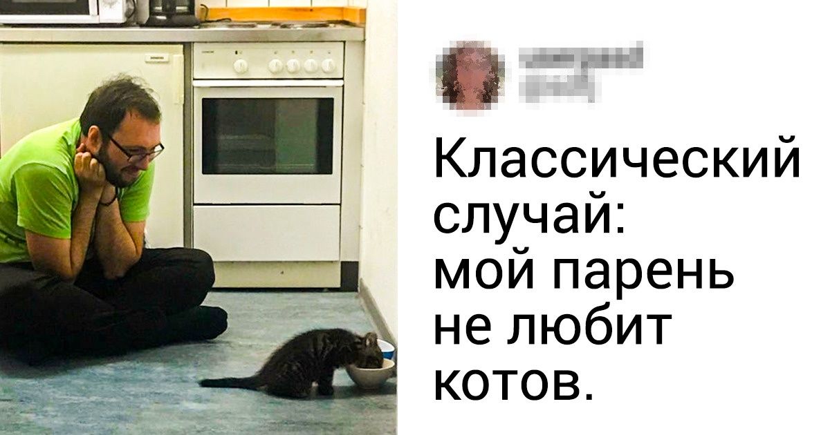 20+ фото, в которых каждый владелец домашнего животного узнает себя