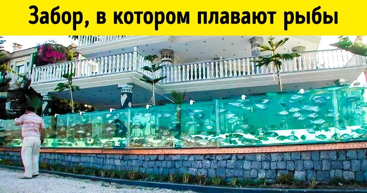 22 фото, на которых богатая жизнь ослепляет настолько, что хочется надеть солнцезащитные очки 22 фото, на которых богатая жизнь ослепляет настолько, что хочется надеть солнцезащитные очки