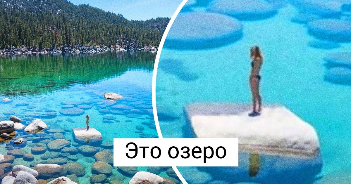 20+ фото с маленьким сюрпризом, который добавил снимкам огоньку