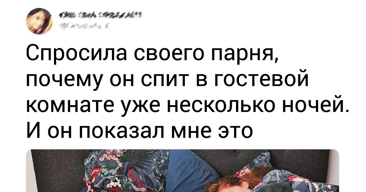 20+ человек, которые хотели завести пушистого друга, а получили 33 несчастья