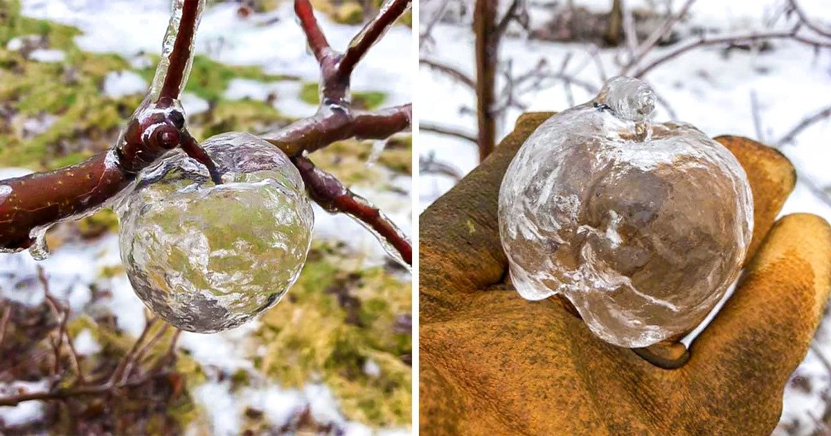 20 фотографий, на которых запечатлено то, с чем раньше вы никогда не сталкивались