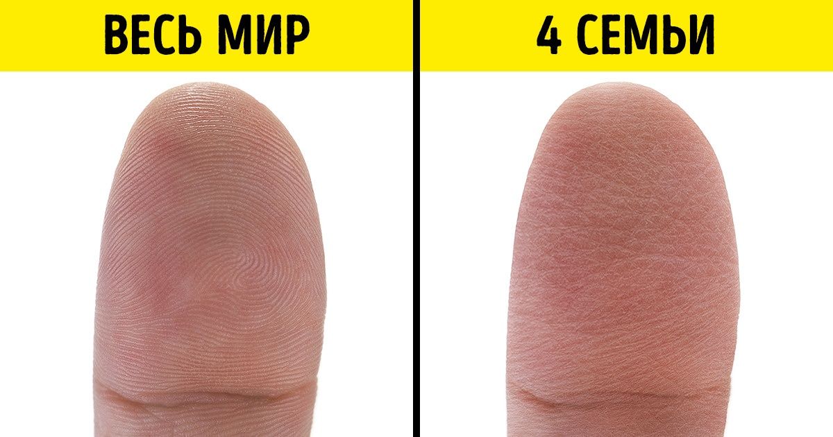 10 научных фактов, которые показывают, как мало мы знаем об этом мире