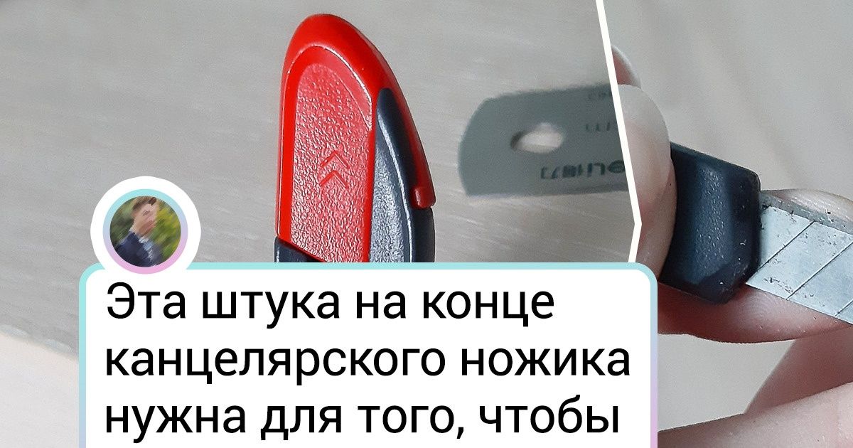 17 человек, которые знают о нашем мире чуточку больше, чем все остальные 17 человек, которые знают о нашем мире чуточку больше, чем все остальные