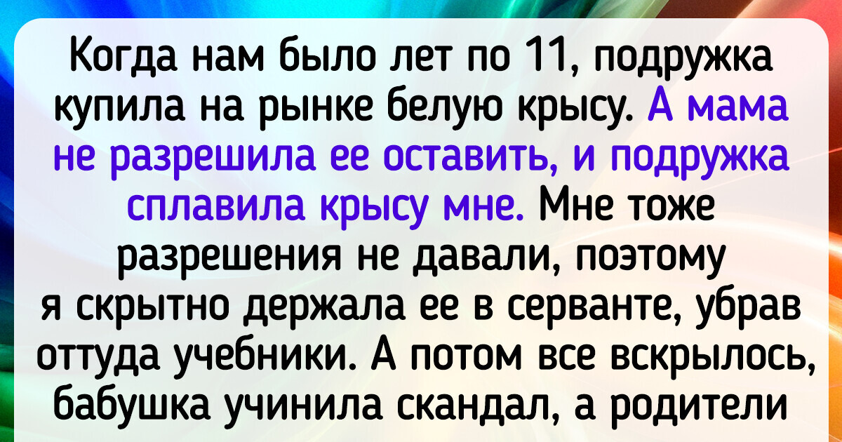 16 историй о том, какого шороху может навести не самый обычный питомец дома