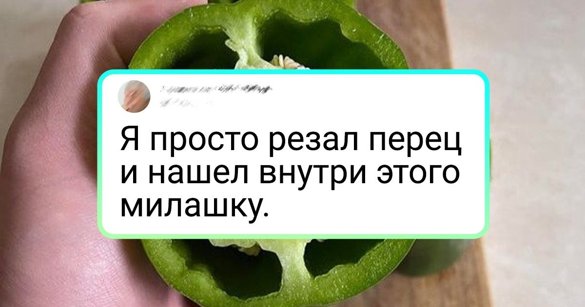 19 человек, которым смогла поднять настроение сущая мелочь