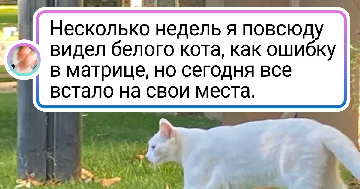 15+ фото, на которые надо посмотреть дважды, а то и трижды, чтобы понять, что там вообще происходит 15+ фото, на которые надо посмотреть дважды, а то и трижды, чтобы понять, что там вообще происходит