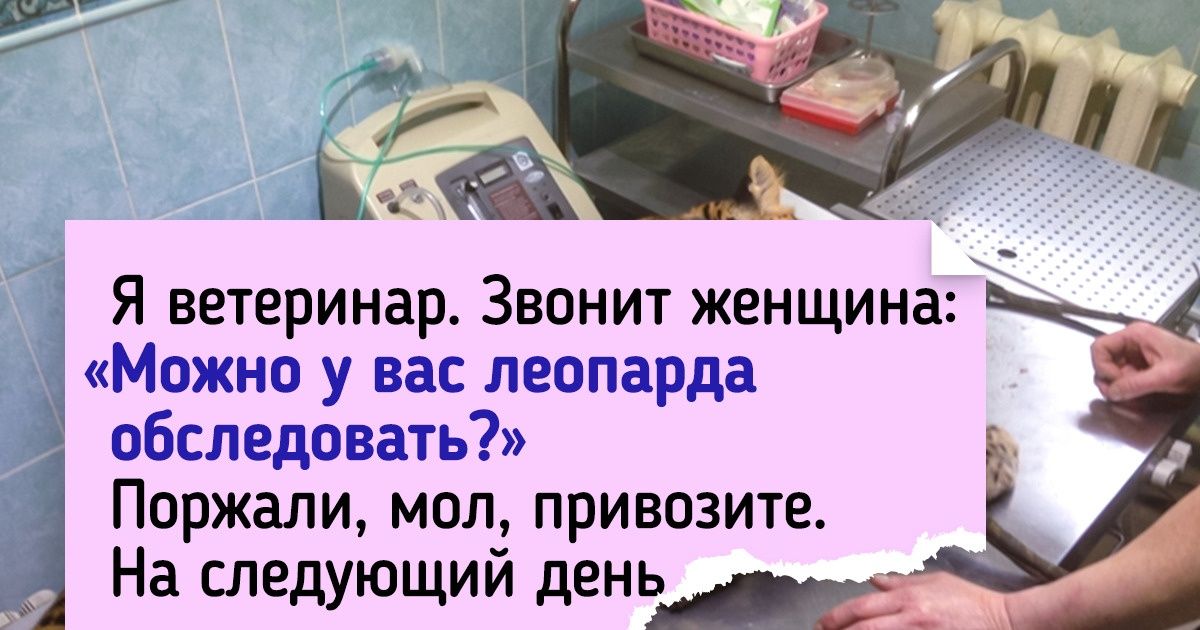 20+ фишек, которые можно увидеть только на чужом рабочем месте. А мы вам их покажем