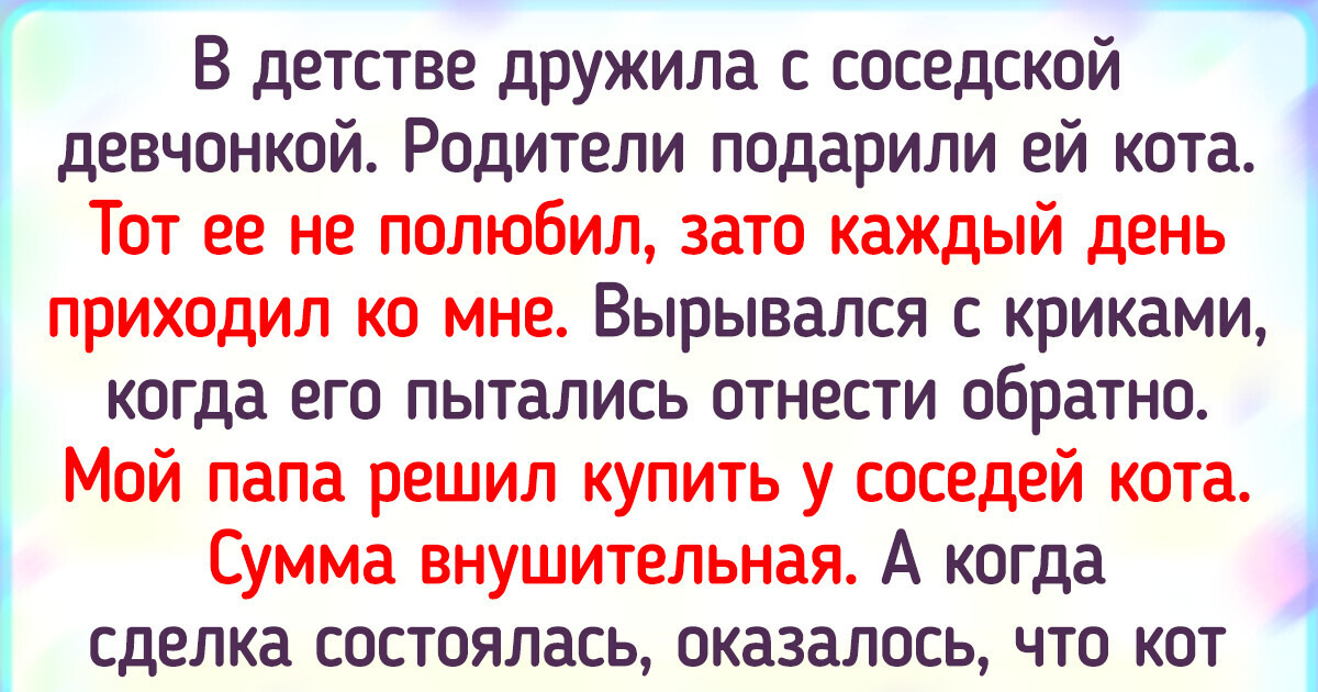 15 животных, которые научились получать выгоду от общения с человеком 15 животных, которые научились получать выгоду от общения с человеком