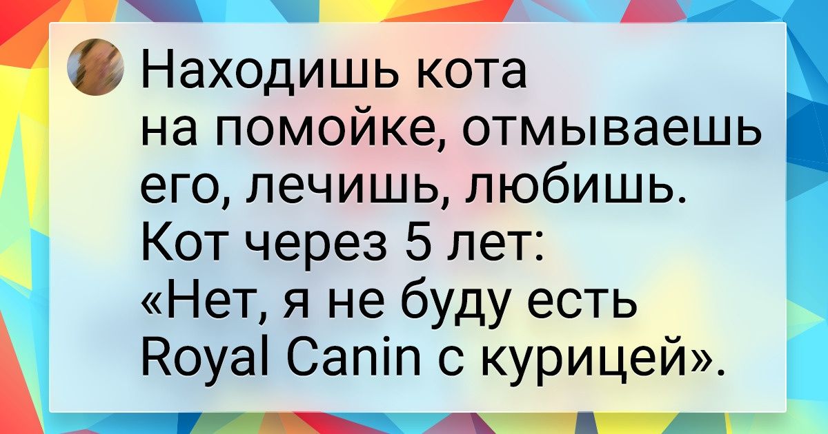 20+ твитов от тех, кто может потерять кошелек или ключи, но чувство юмора — никогда 20+ твитов от тех, кто может потерять кошелек или ключи, но чувство юмора — никогда