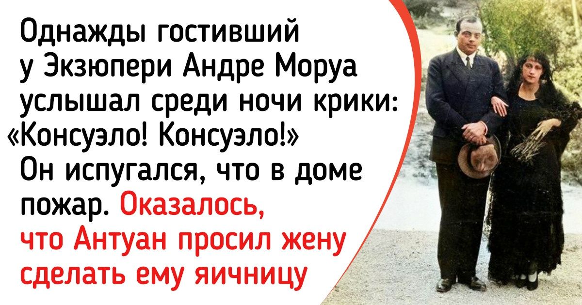 20+ фактов о Консуэло де Сент-Экзюпери, которая могла бы жить в роскоши, но встретила гениального писателя 20+ фактов о Консуэло де Сент-Экзюпери, которая могла бы жить в роскоши, но встретила гениального писателя