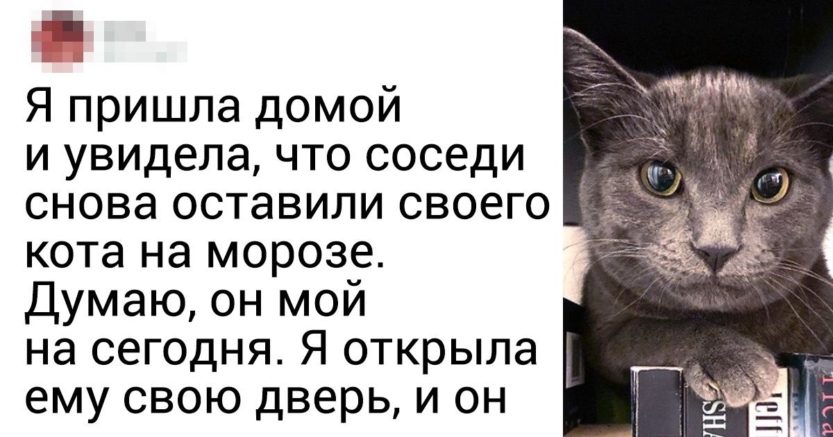20+ фото, от которых сердце начинает биться быстрее 20+ фото, от которых сердце начинает биться быстрее