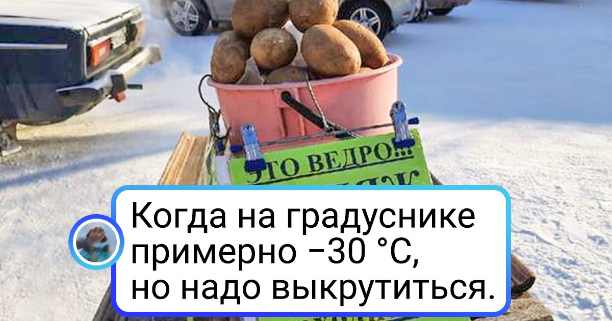 18 ситуаций, которые могли произойти только зимой 18 ситуаций, которые могли произойти только зимой
