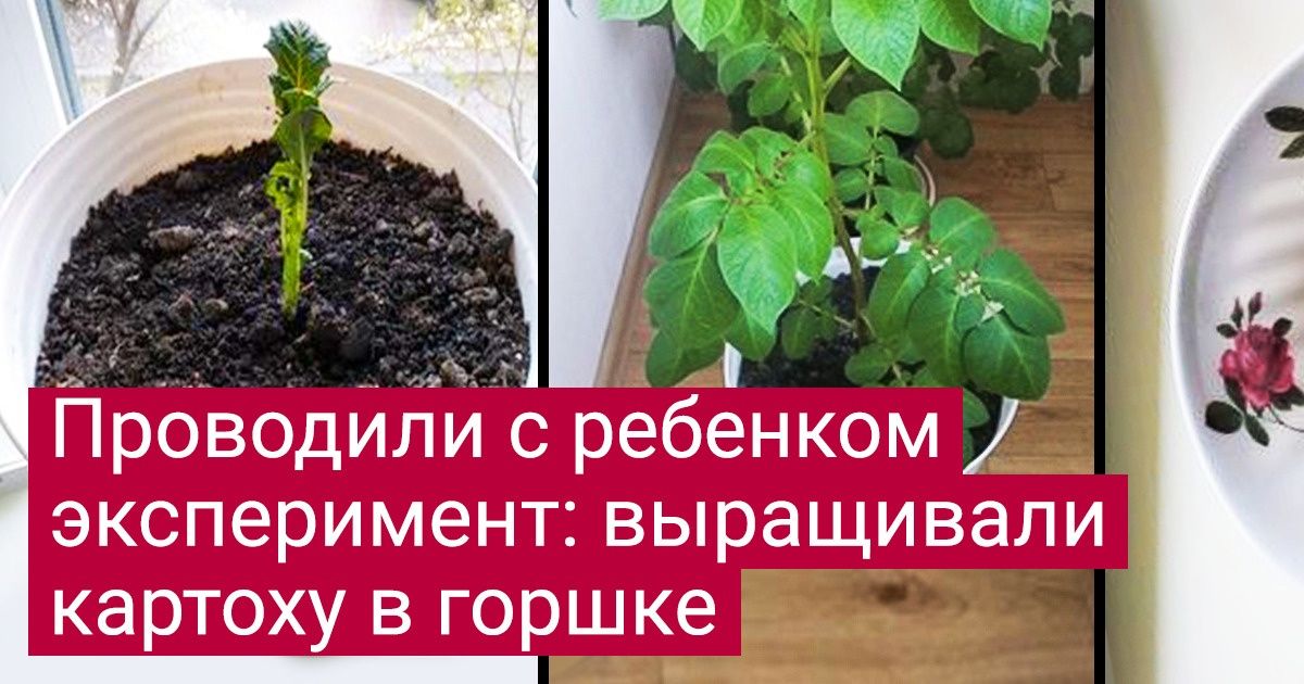 20+ человек, которые собрали урожай и захотели срочно разделить свои эмоции со всем интернетом 20+ человек, которые собрали урожай и захотели срочно разделить свои эмоции со всем интернетом