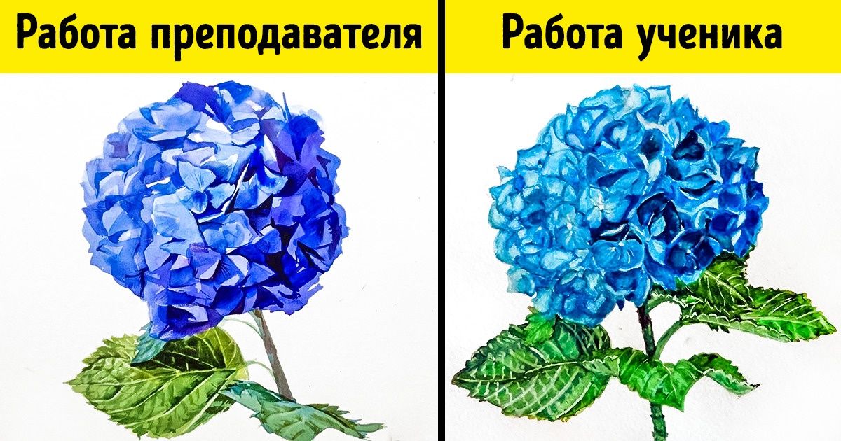 10 бесплатных курсов для женщин, которые откроют перед вами новые перспективы 10 бесплатных курсов для женщин, которые откроют перед вами новые перспективы