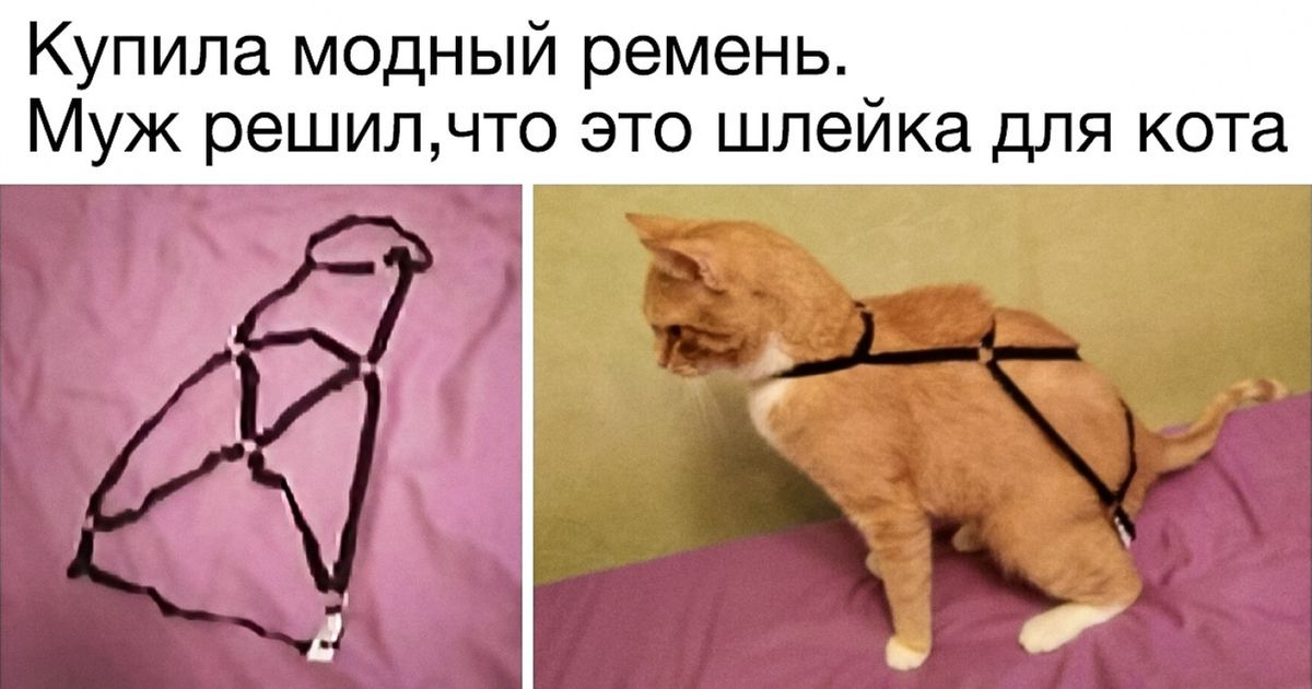 что он решил. что он решил. решение проблемы. задачи на количество. смешно об отношениях мужчины и женщины.