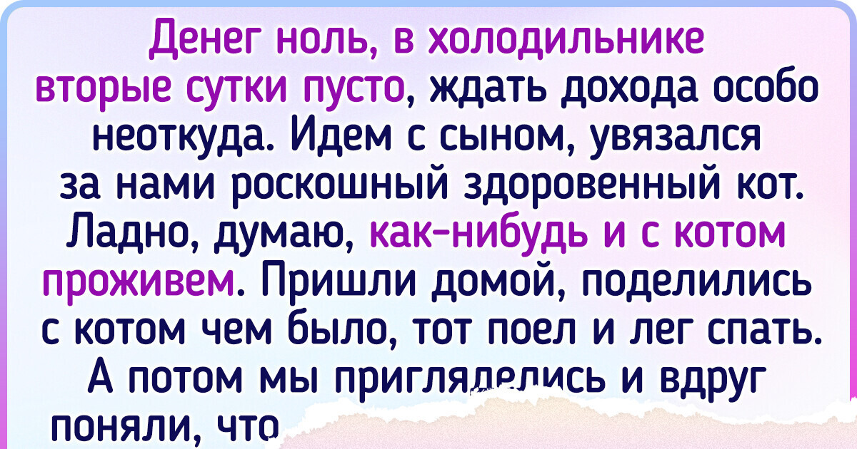 20+ людей, которые не планировали заводить питомца, но судьба решила иначе 20+ людей, которые не планировали заводить питомца, но судьба решила иначе