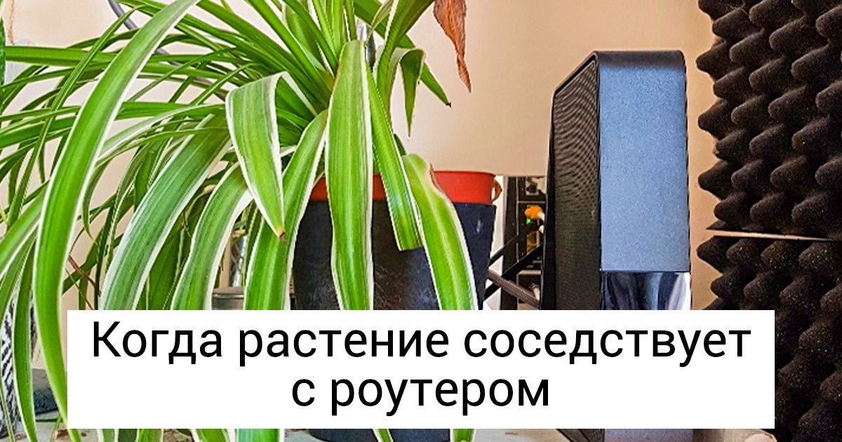 17 фото, каждое из которых может стать для вас небольшим открытием