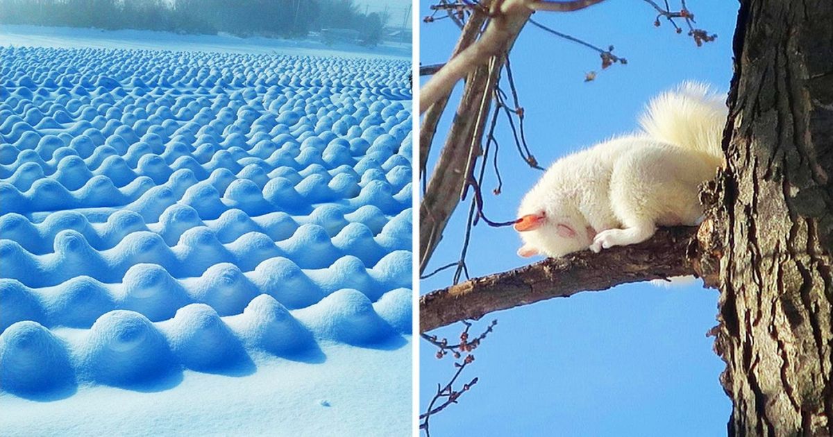 25 по-настоящему крутых снимков, которые дадут фору фотошопу 25 по-настоящему крутых снимков, которые дадут фору фотошопу