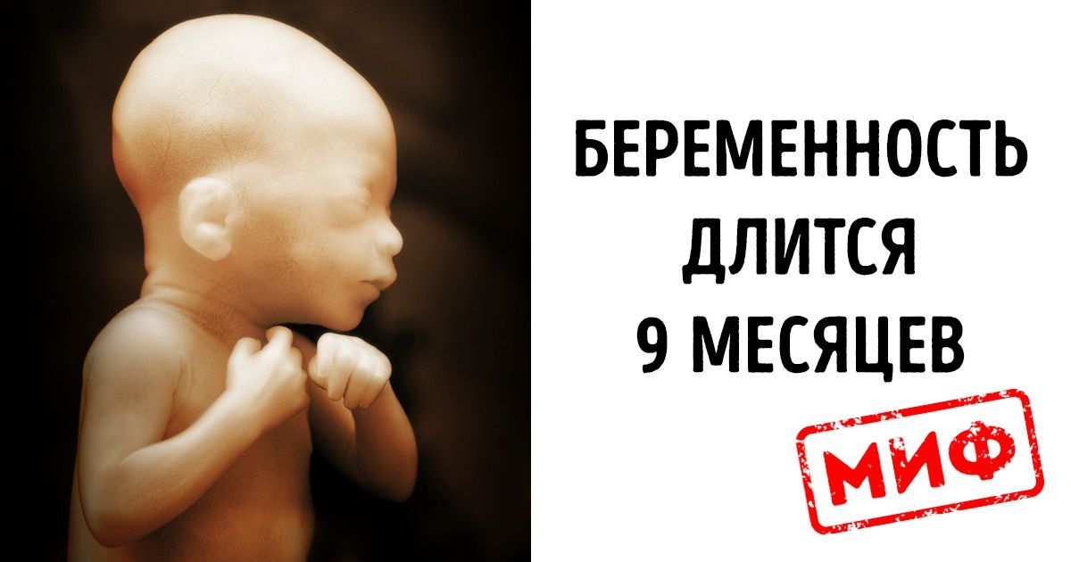 7 популярных заблуждений о нашем теле, на которые ученые поставили штамп «Опровергнуто» 7 популярных заблуждений о нашем теле, на которые ученые поставили штамп «Опровергнуто»