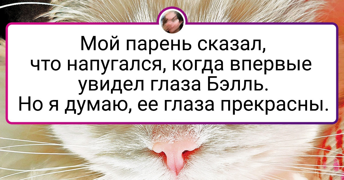 20+ животных, которые выглядят так, словно сошли с экрана фантастического фильма 20+ животных, которые выглядят так, словно сошли с экрана фантастического фильма