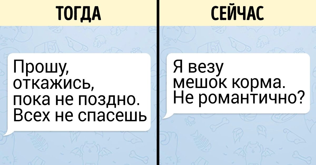 История о том, как я стала хозяйкой слепого пса из приюта История о том, как я стала хозяйкой слепого пса из приюта