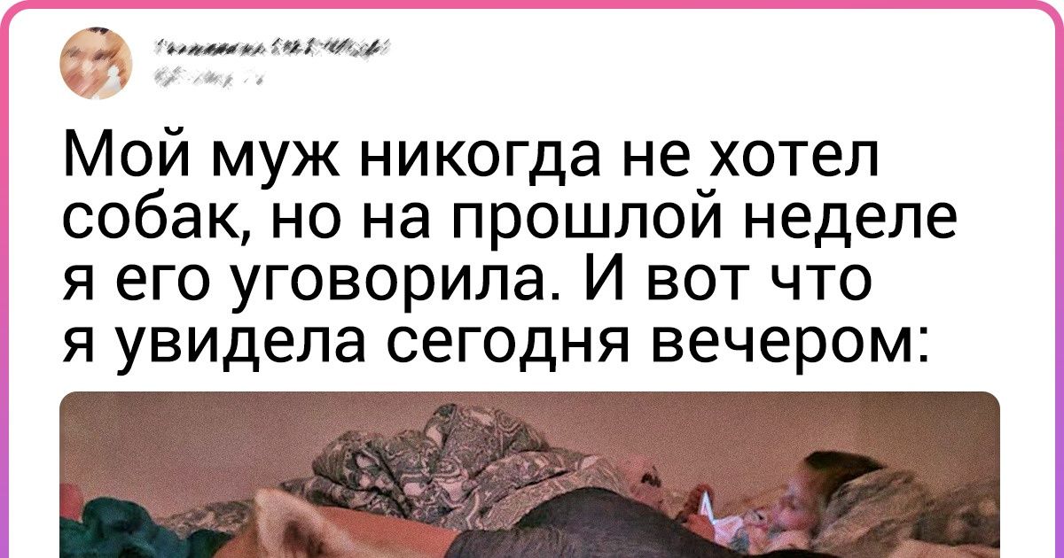 25 мужчин, которые больше не посмеют заикнуться, что они против животных в доме 25 мужчин, которые больше не посмеют заикнуться, что они против животных в доме