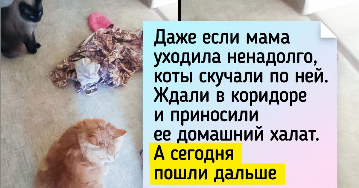 Когда командир не робеет бойцы за ним в огонь и в воду пойдут вид придаточного