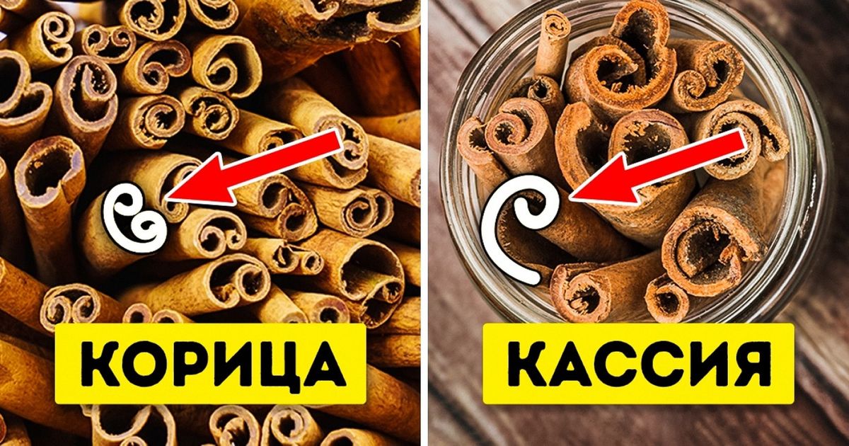 Корица настоящая и подделка как отличить фото