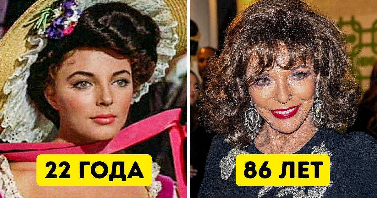 11 знаменитостей, переступивших 80-летний рубеж (Но по-прежнему крутых) 11 знаменитостей, переступивших 80-летний рубеж (Но по-прежнему крутых)