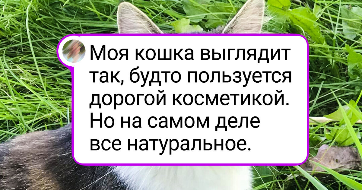20+ животных, на чьи изюминки природа не пожалела фантазии 20+ животных, на чьи изюминки природа не пожалела фантазии