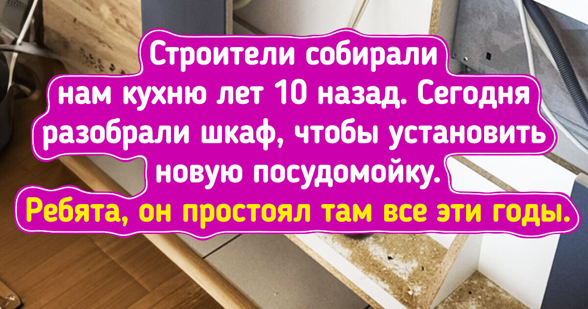 17+ фотодоказательств того, что время порой летит так, что и не заметишь 17+ фотодоказательств того, что время порой летит так, что и не заметишь