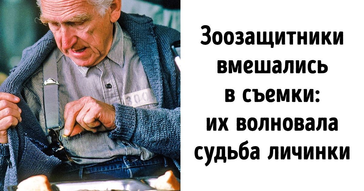 12 фактов из мира кино, которые известны лишь самым горячим поклонникам этого искусства 12 фактов из мира кино, которые известны лишь самым горячим поклонникам этого искусства