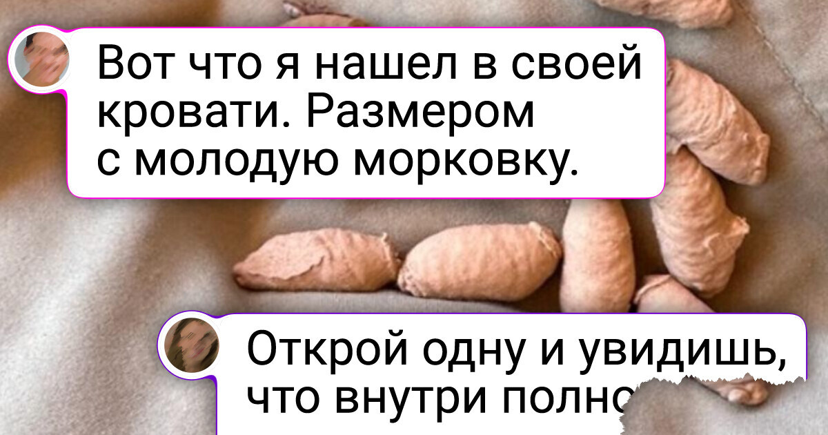 15+ доказательств того, что летние денечки — это далеко не всегда сказка