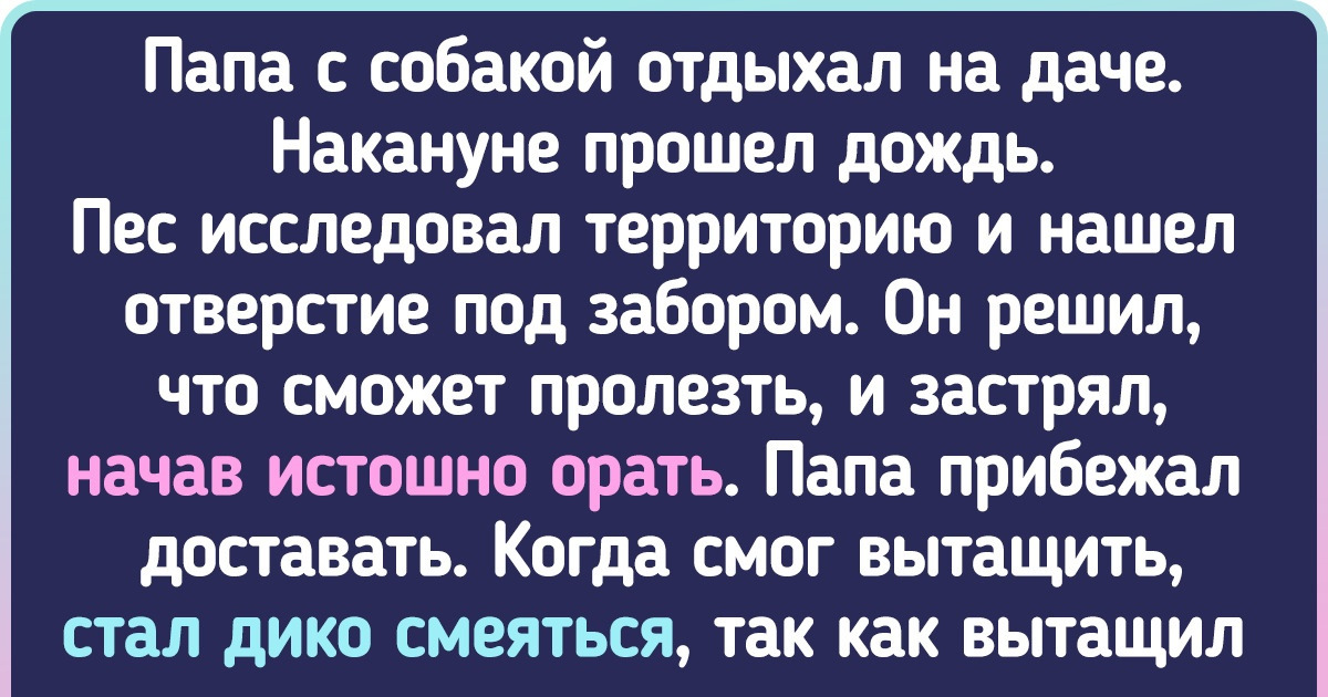 15+ человек, которым покой только снится с их пушистыми пройдохами 15+ человек, которым покой только снится с их пушистыми пройдохами