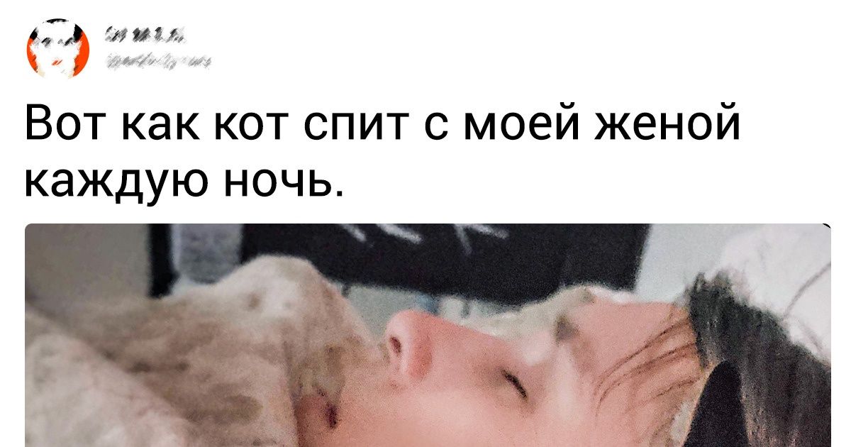 20 животных, которые готовы уснуть даже у черта на рогах, лишь бы не на собственном лежаке