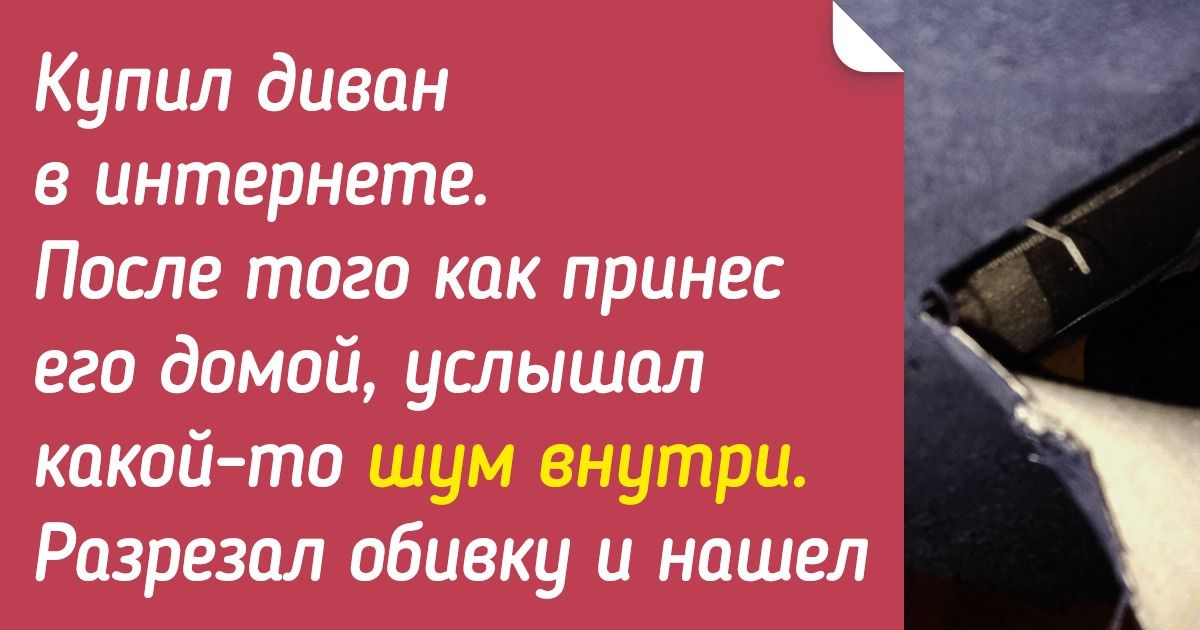 20+ счастливчиков поделились настоящими сокровищами, которые они нашли на сайтах объявлений 20+ счастливчиков поделились настоящими сокровищами, которые они нашли на сайтах объявлений