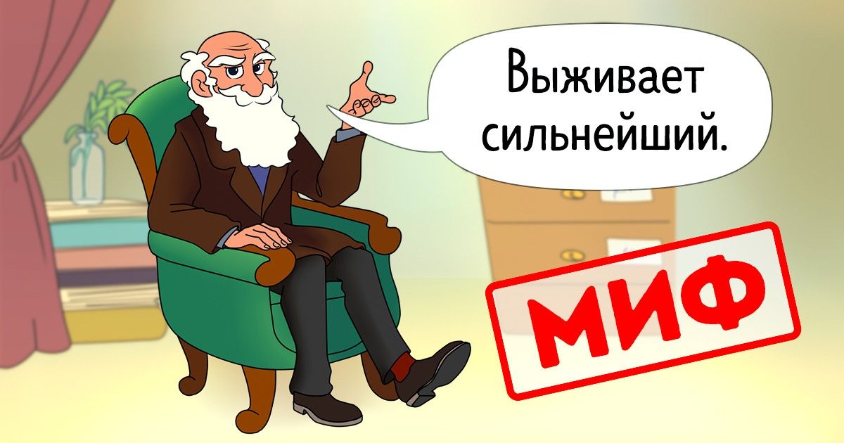 9 великих научных мифов, после которых вы усомнитесь в том, что уже знали 9 великих научных мифов, после которых вы усомнитесь в том, что уже знали