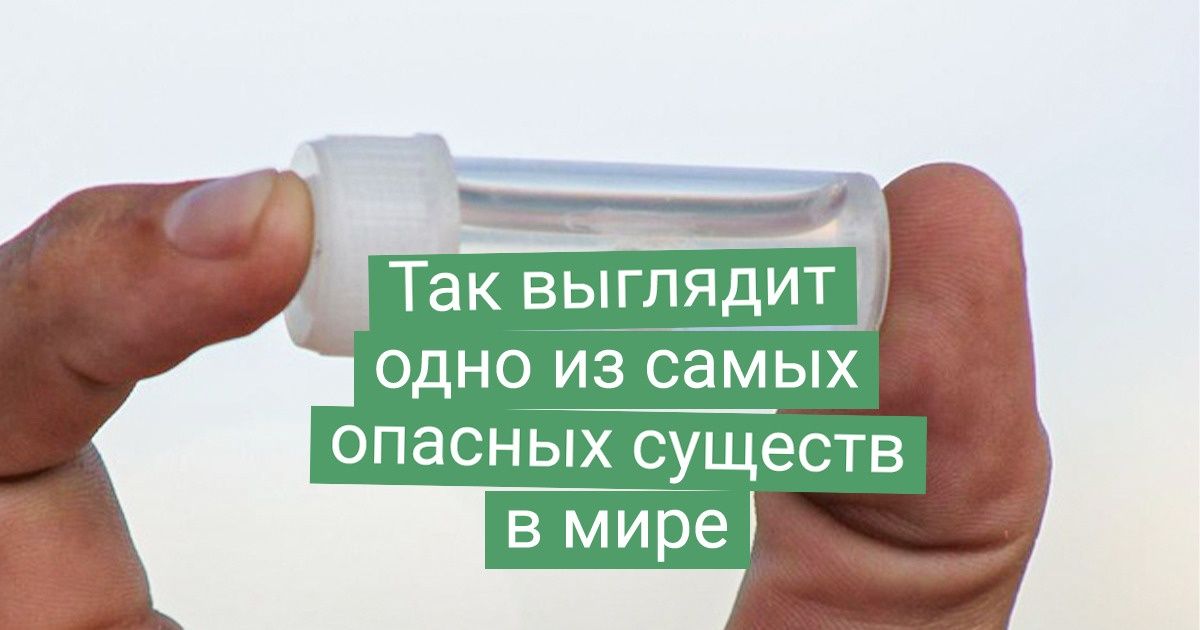 20+ вещей, о которых все слышали, но понятия не имеют, какого они размера