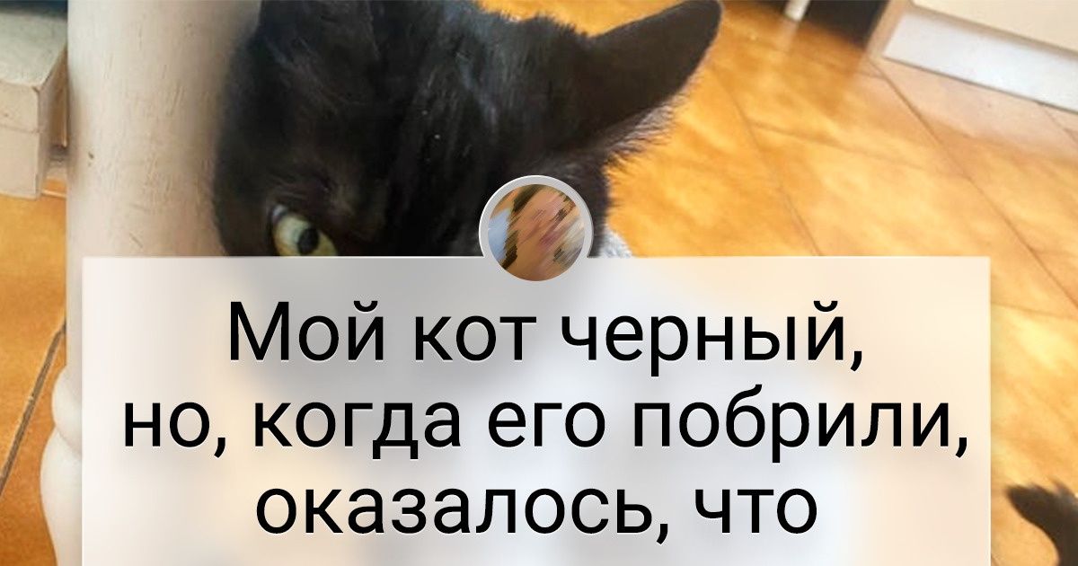 20+ творений природы, от которых мурашки по коже устроят марш-бросок 20+ творений природы, от которых мурашки по коже устроят марш-бросок