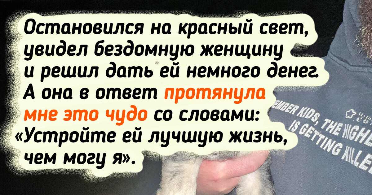 20 человек, которые и не собирались брать животинку, но в дело вмешалась судьба