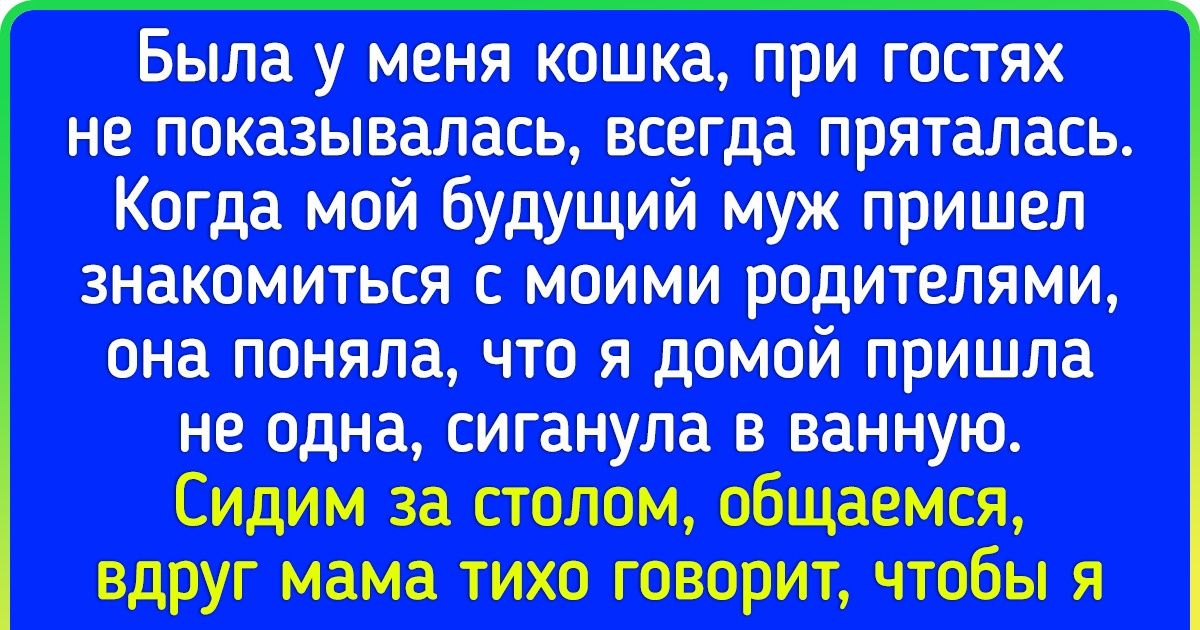 17 питомцев, чей интеллект всегда был на высоте, просто их хозяева об этом не подозревали