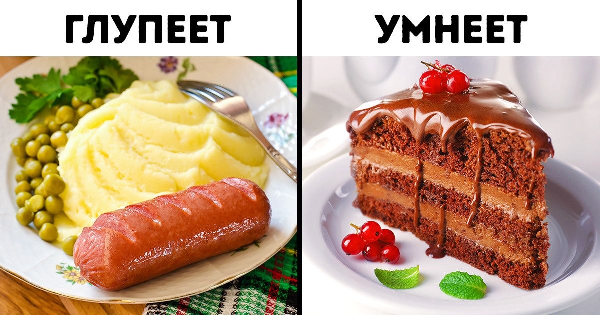 9 занятий, которые не только принесут массу удовольствия, но и прокачают мозг 9 занятий, которые не только принесут массу удовольствия, но и прокачают мозг