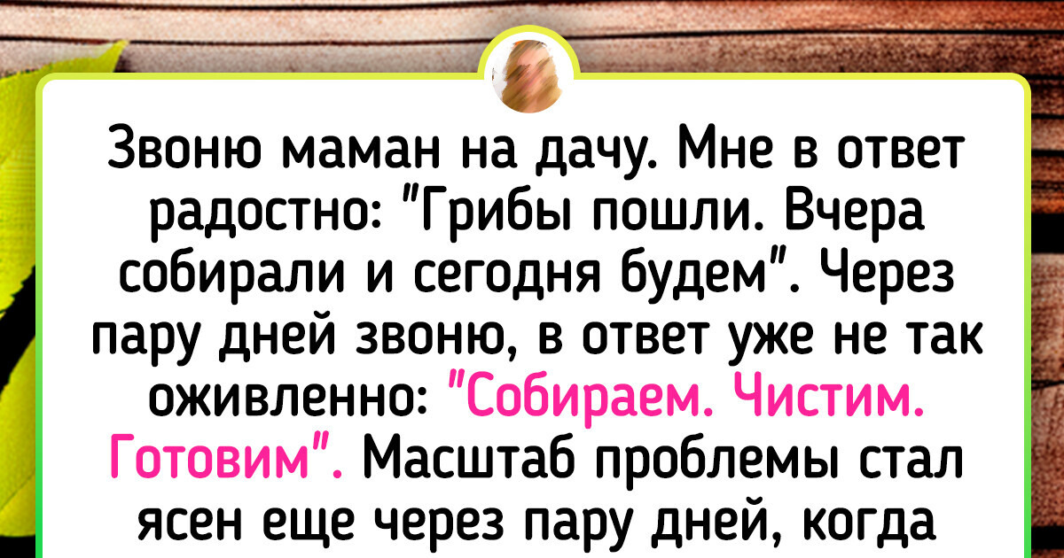 20 человек, которые знают, что бесплатная еда растет буквально под ногами 20 человек, которые знают, что бесплатная еда растет буквально под ногами