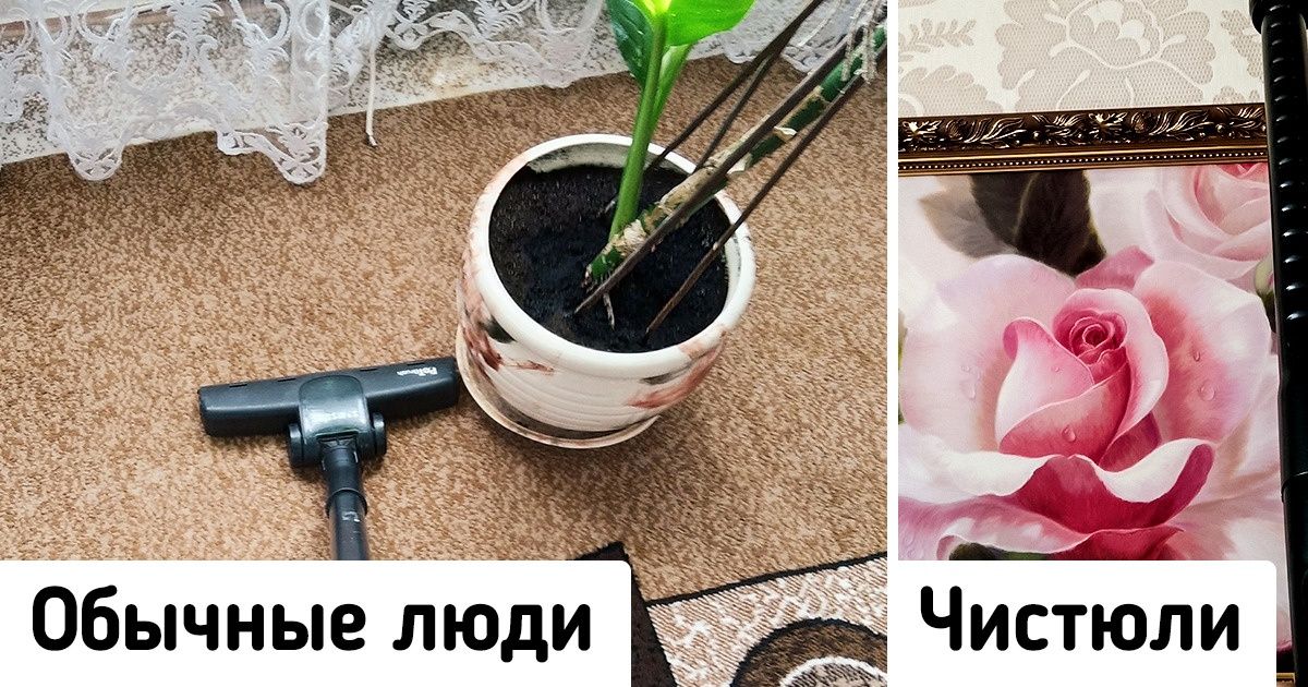 12 привычек людей, у которых дома такая чистота, что комар носа не подточит 12 привычек людей, у которых дома такая чистота, что комар носа не подточит