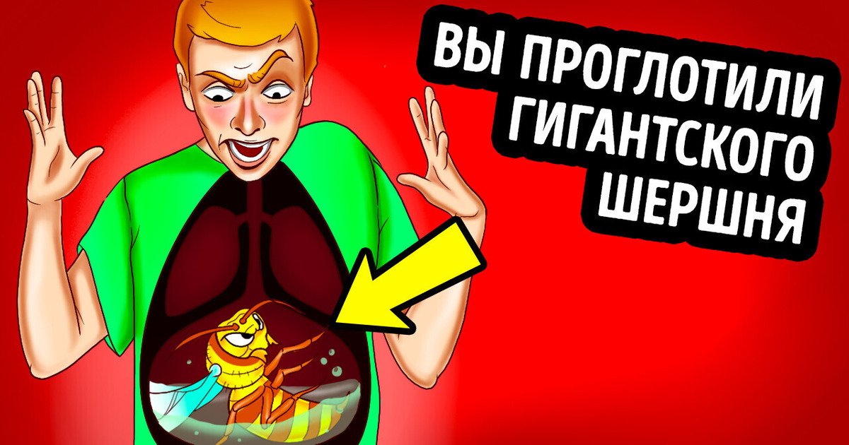 Что, если проглотить шершня и он вас ужалит? Что, если проглотить шершня и он вас ужалит?
