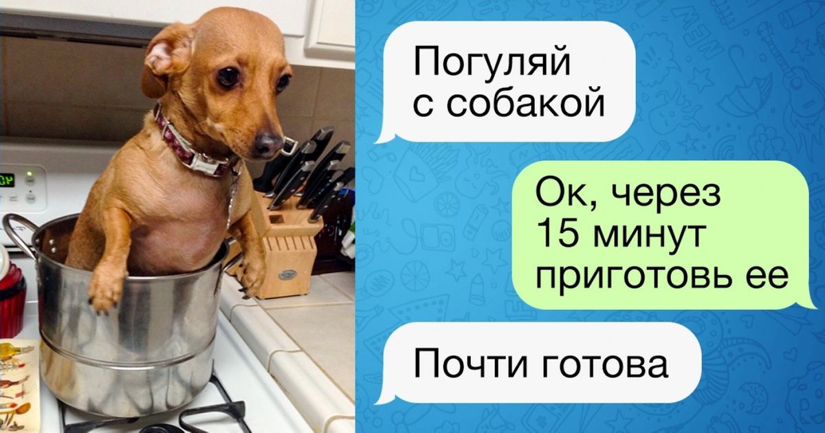 15 СМС от людей, которым не занимать находчивости