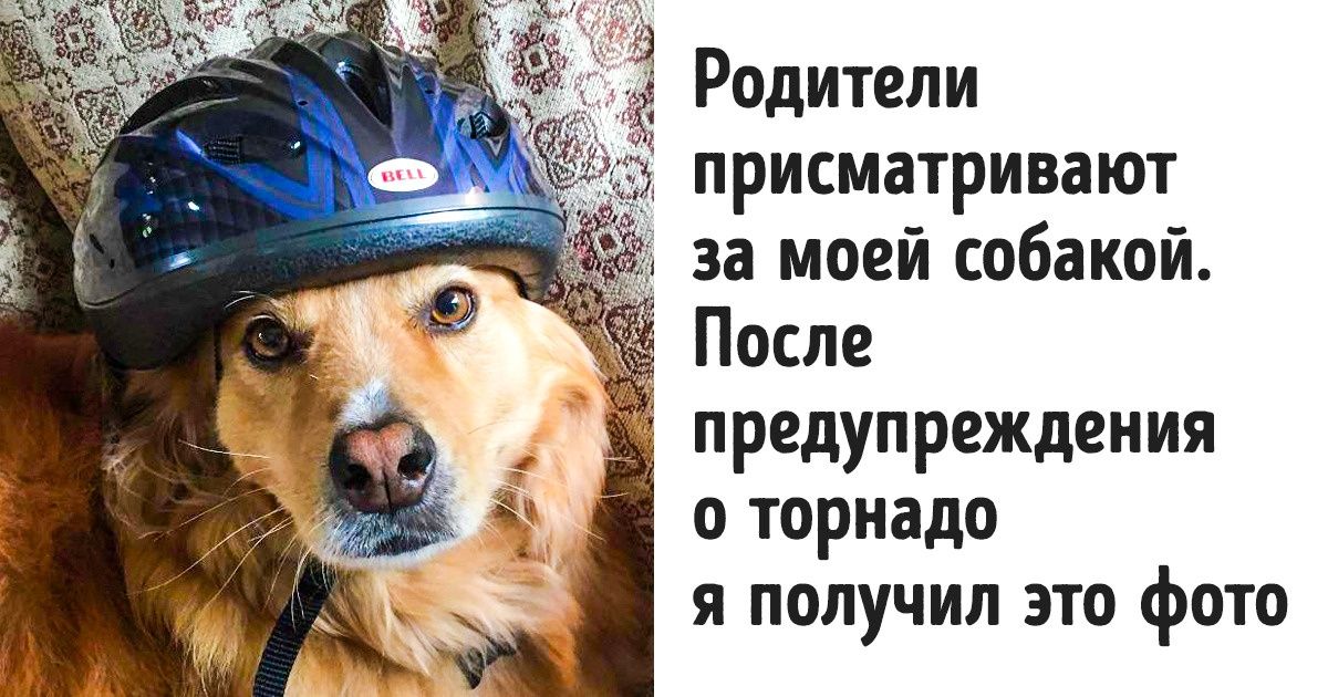 25 фото, которые способны вмиг расквитаться с вашим плохим настроением