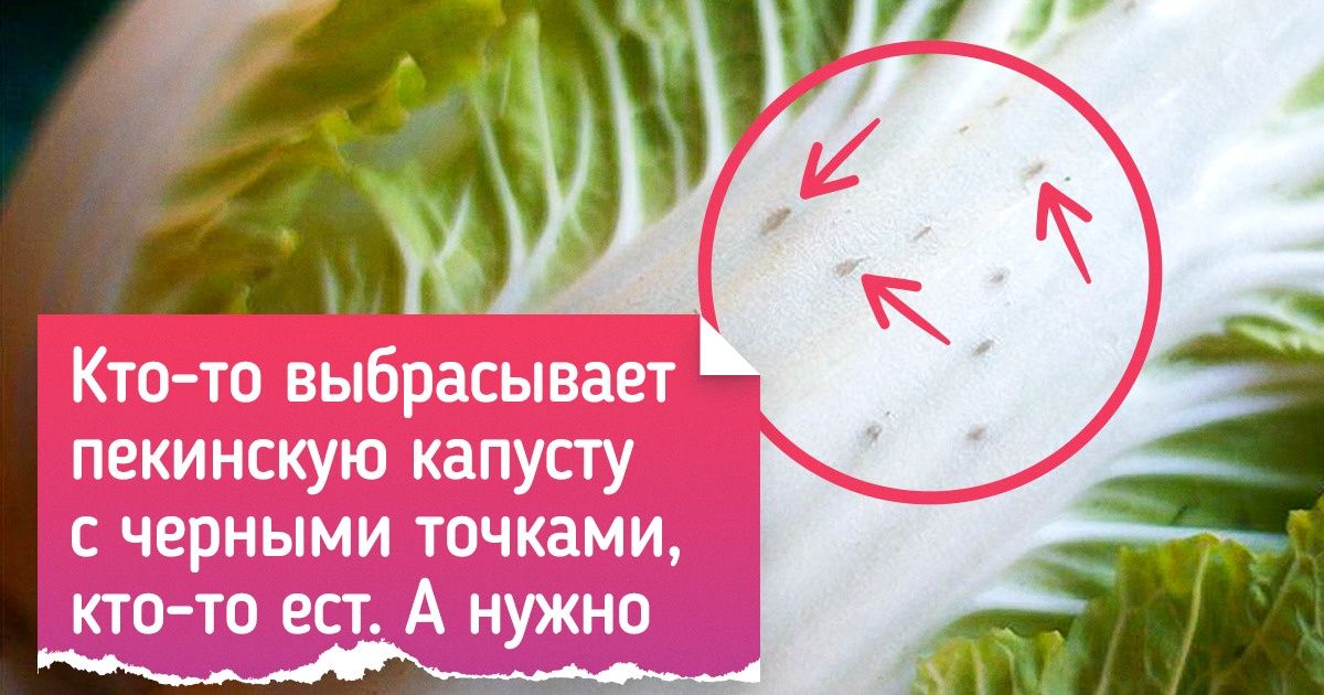 16 человек сделали такие открытия, что позавидует сам Эйнштейн 16 человек сделали такие открытия, что позавидует сам Эйнштейн
