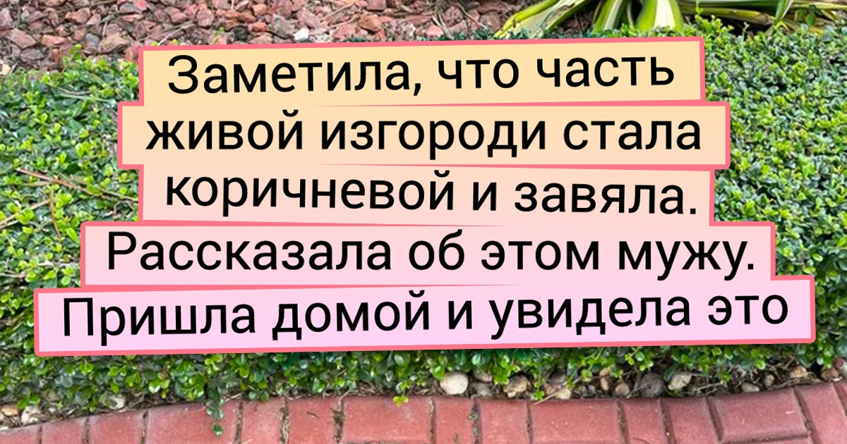 18 родственников, с которыми не получится соскучиться, даже если очень захочется 18 родственников, с которыми не получится соскучиться, даже если очень захочется